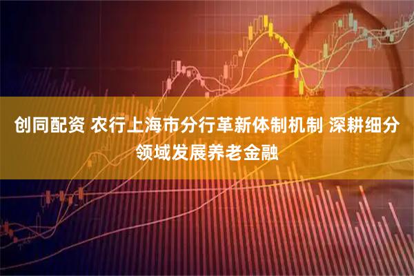 创同配资 农行上海市分行革新体制机制 深耕细分领域发展养老金融