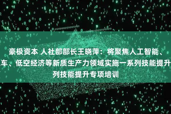 豪极资本 人社部部长王晓萍：将聚焦人工智能、新能源汽车、低空经济等新质生产力领域实施一系列技能提升专项培训